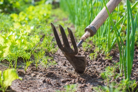 Serfouette et binette